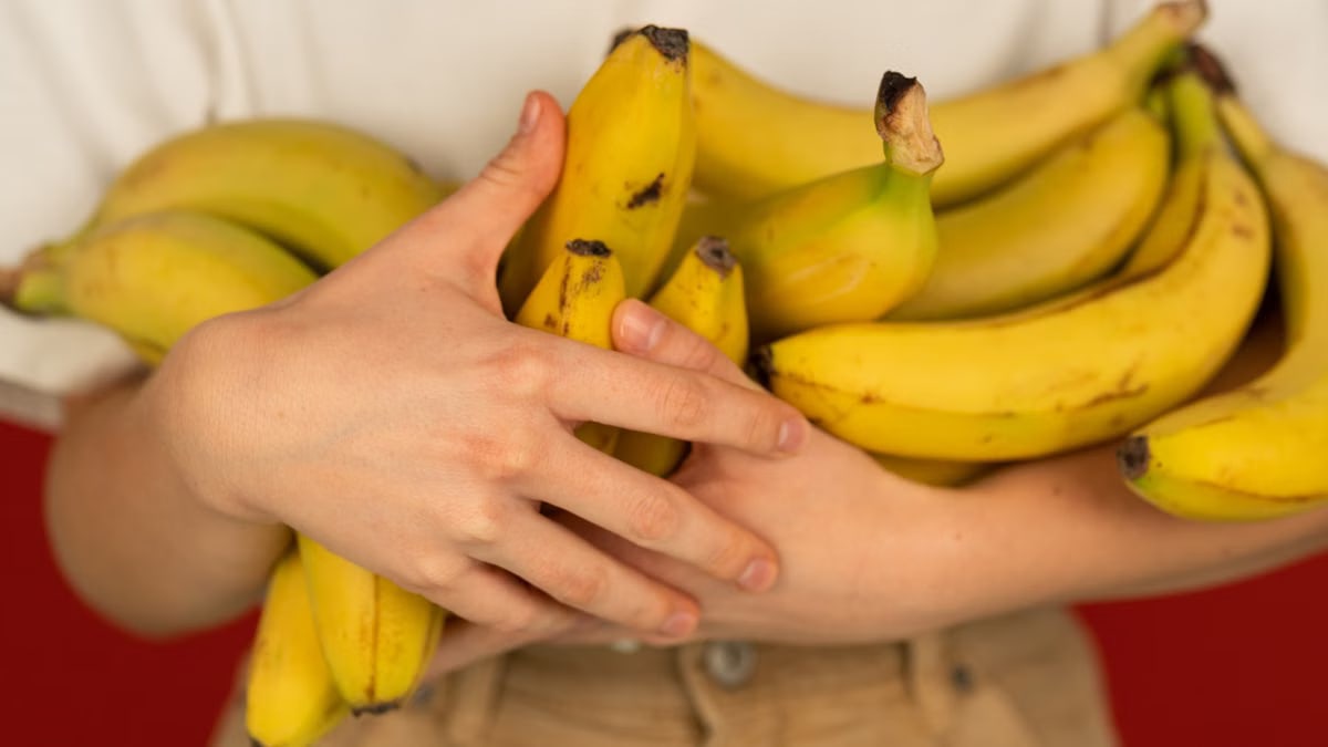 Crop unrecognizable person with bundles of tasty ripe bananas with pleasant aroma and spots on peel